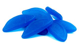 Blauwe Ogen Snoep of "Blue Eyes" van Frisia